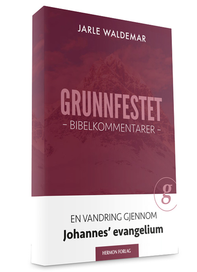 Grunnfestet