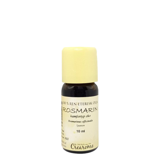 Rosmarin Kamfertyp Eko, 10 ml