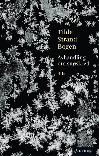 Avhandling om snøskred - SIGNERT ved nettbestilling sendt i posten
