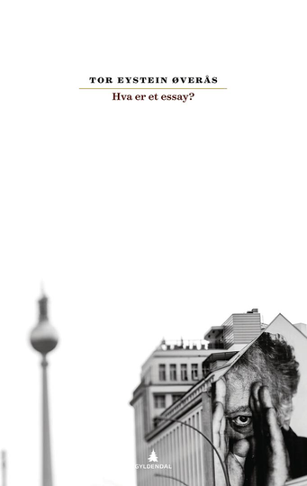 Hva er et essay?