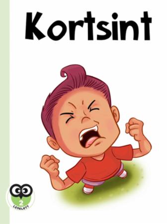 Kortsint